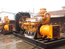 台山发电机组的频率规格是如何确定的？